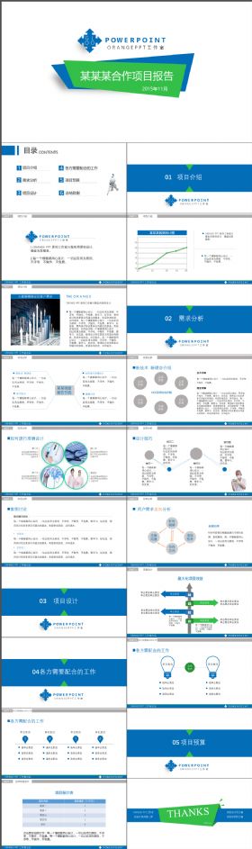 简约完整项目合作方案报告PPT模板