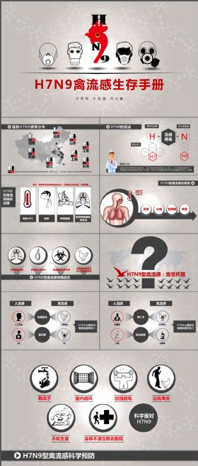 H7N9禽流感生存手册完整大气PPT模板